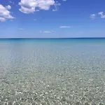 In Near White Beaches *
