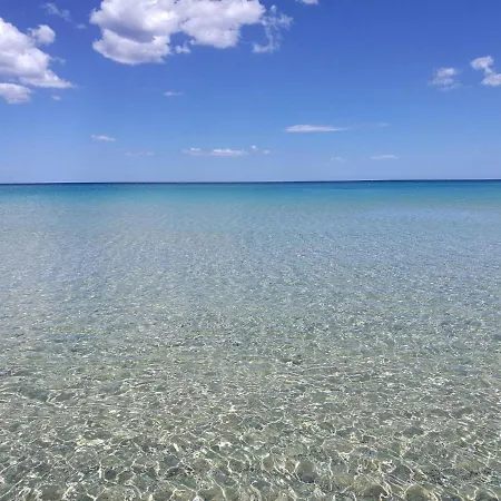 In Near White Beaches *