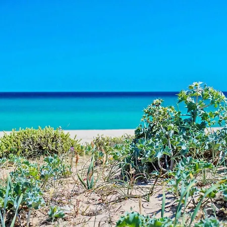 In Near White Beaches Lejlighed