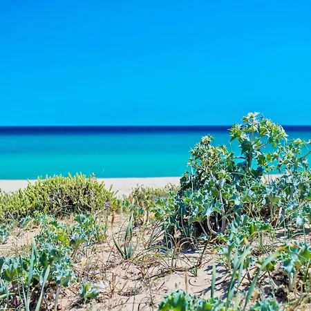 In Near White Beaches * Costa Rei