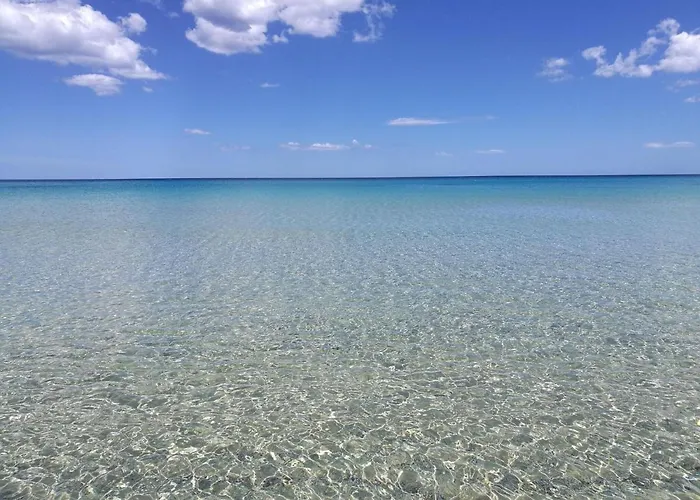 In Near White Beaches *